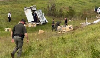 Monos escapan de un camión volcado en una autopista de Mississippi