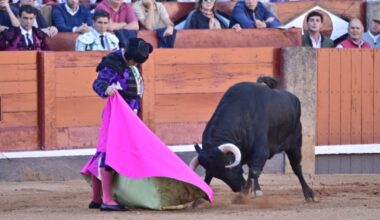 Premios Feria Taurina Salamanca 2025: lista de ganadores - SALAMANCArtv AL DÍA