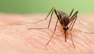 Salud confirma un segundo caso en un vecino de Morón y otro en estudio en La Rinconada