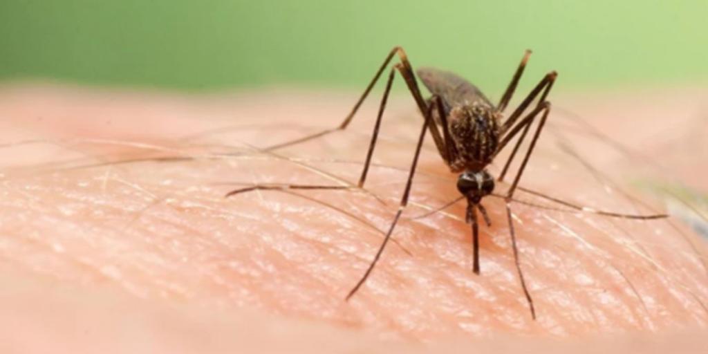 Salud confirma un segundo caso en un vecino de Morón y otro en estudio en La Rinconada