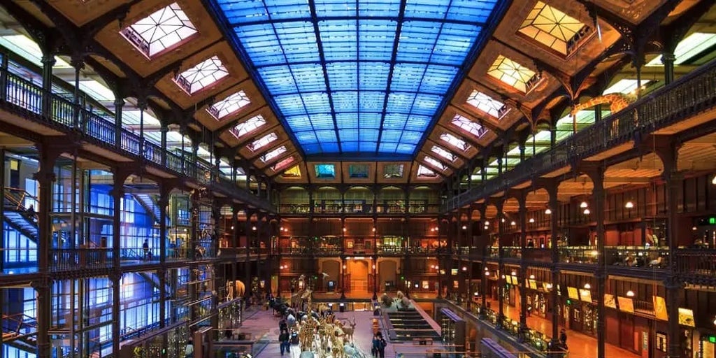 Oleada de robos en museos franceses en los últimos meses