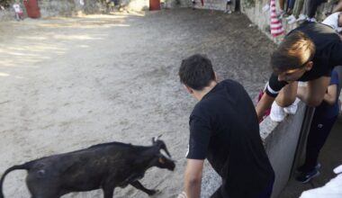 Los encierros de Navalcarnero son declarados fiesta de interés turístico regional