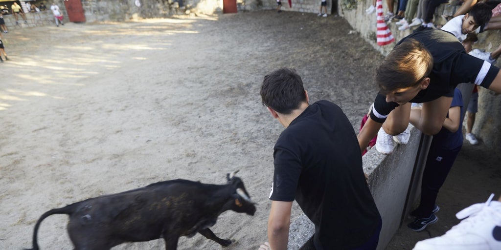 Los encierros de Navalcarnero son declarados fiesta de interés turístico regional