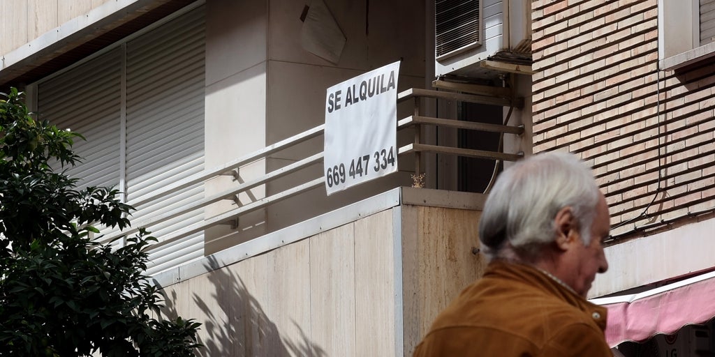 cómo solicitarla, plazos y requisitos