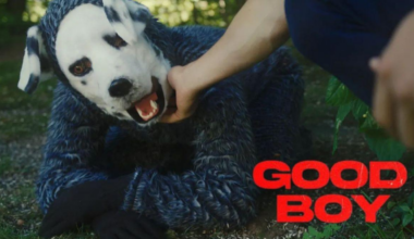 su protagonista es un perro