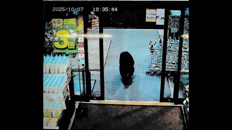 Un oso ataca a un cliente en un supermercado en Japón y marca un nuevo récord nacional de muertes por este animal en el país