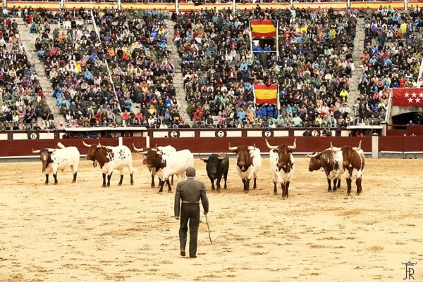 Carta de despedida a Florito