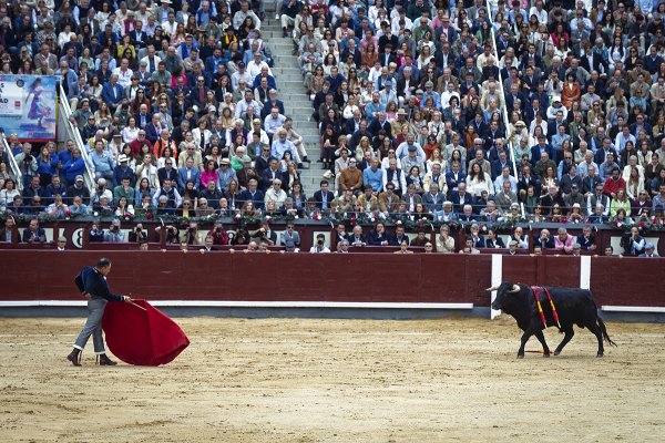 Resacón en Las Ventas