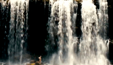 El cine reveló una conexión desconocida entre Hawái y Costa Rica: ¡descúbrala aquí!