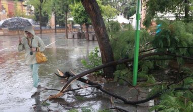 La lluvia deja casas anegadas, balsas de agua en la calzada y ramas caídas en Sevilla capital y provincia