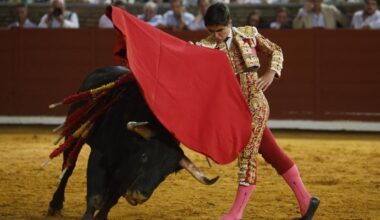 Un festival reunirá en la plaza de Montoro a Alejandro Talavante, Juan Ortega, Pablo Aguado o al cordobés Manuel Román