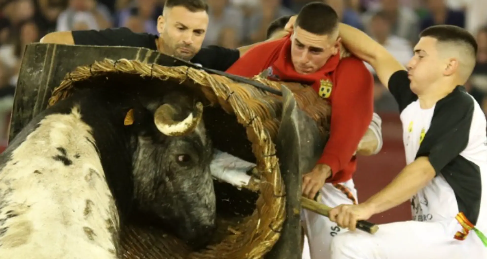 Ambientazo nocturno en la plaza de toros de Zaragoza con los roscaderos: "¡Qué espectáculo"