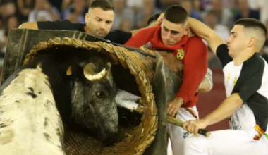 Ambientazo nocturno en la plaza de toros de Zaragoza con los roscaderos: "¡Qué espectáculo"