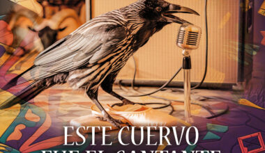 "Este cuervo fue el cantante de mi banda"