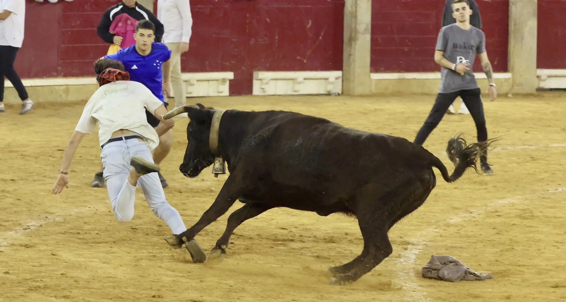 Abucheos en las gradas de la plaza de toros de Zaragoza a uno de los directores de lidia por confiscar un objeto gigante