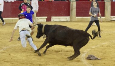 Abucheos en las gradas de la plaza de toros de Zaragoza a uno de los directores de lidia por confiscar un objeto gigante