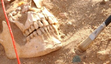 Identifican las dos bacterias que aniquilaron al ejército de Napoleón durante su campaña en Rusia