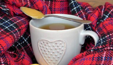 Taza de infusión y rodajas de naranja sobre una manta