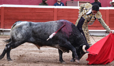 Juan Pablo Sánchez, se lleva el triunfo en el cierre de la Feria de Pachuca