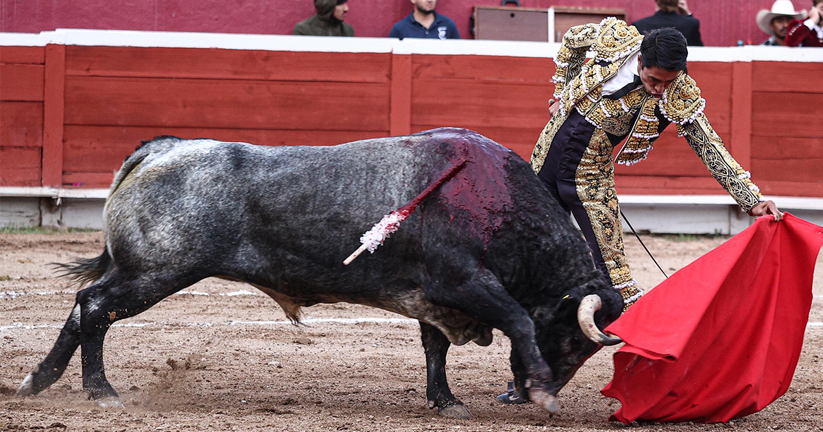 Juan Pablo Sánchez, se lleva el triunfo en el cierre de la Feria de Pachuca