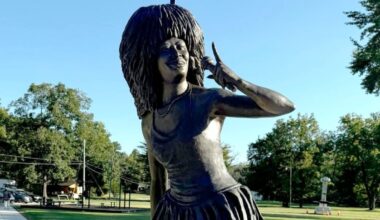 el polémico homenaje a Tina Turner