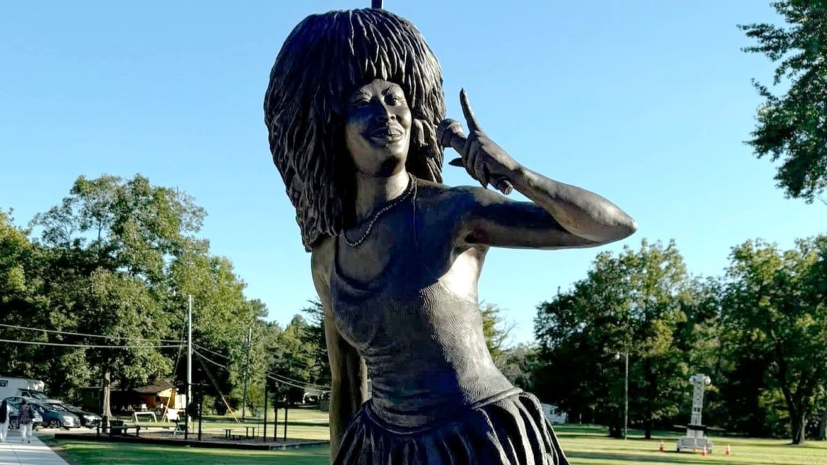 el polémico homenaje a Tina Turner