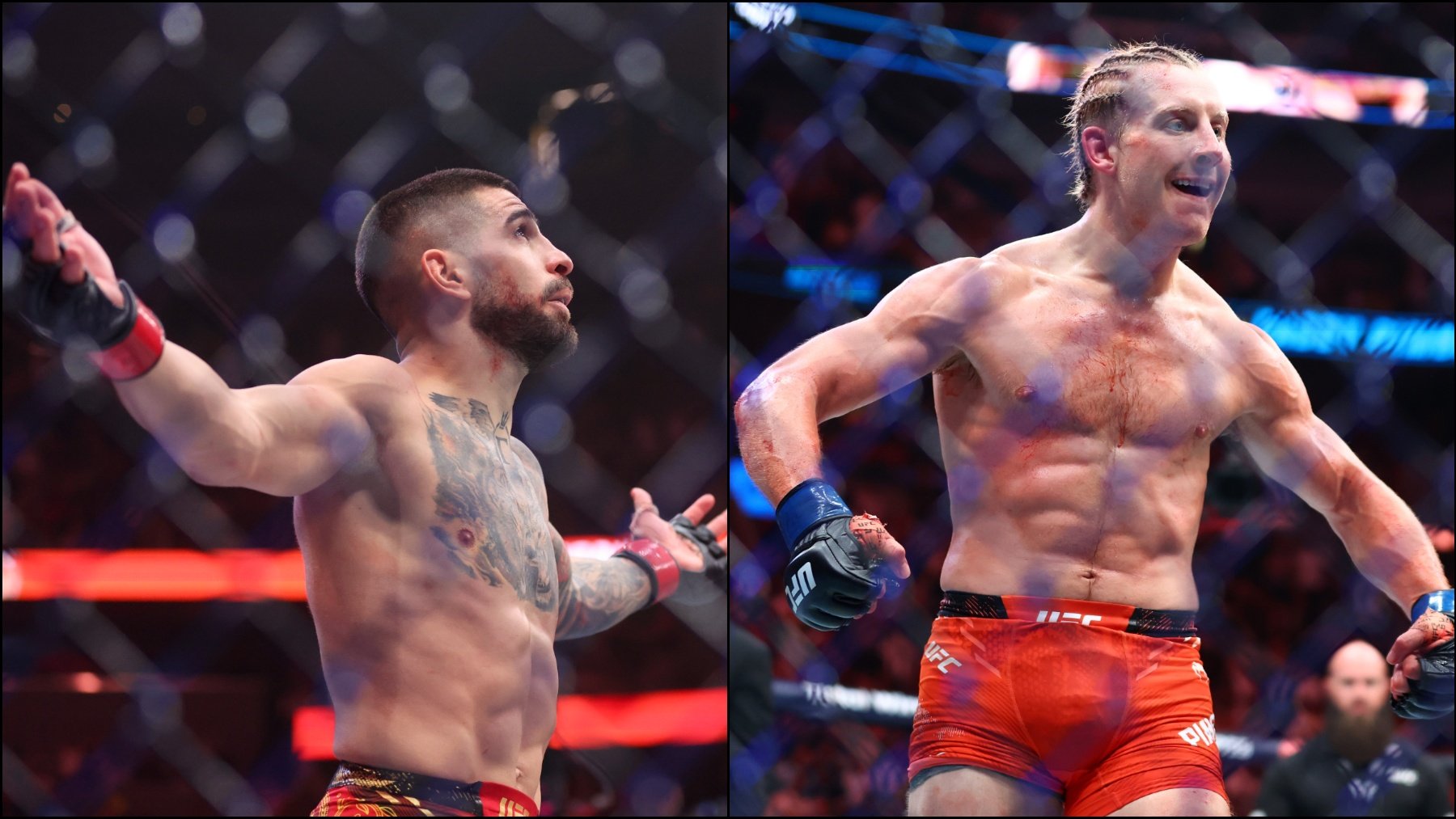 "Daré una paliza al falso aficionado en el Bernabéu"