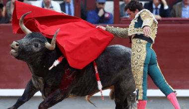 Toros en las Ventas de Madrid por la Feria de Otoño, cartel por días, horarios y dónde ver gratis las corridas en televisión y online