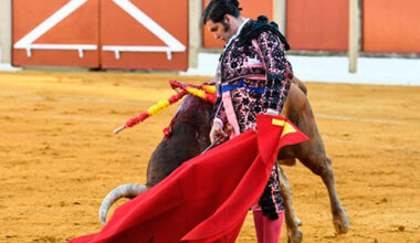 Pues ahora mandan los del arte – Avance Taurino