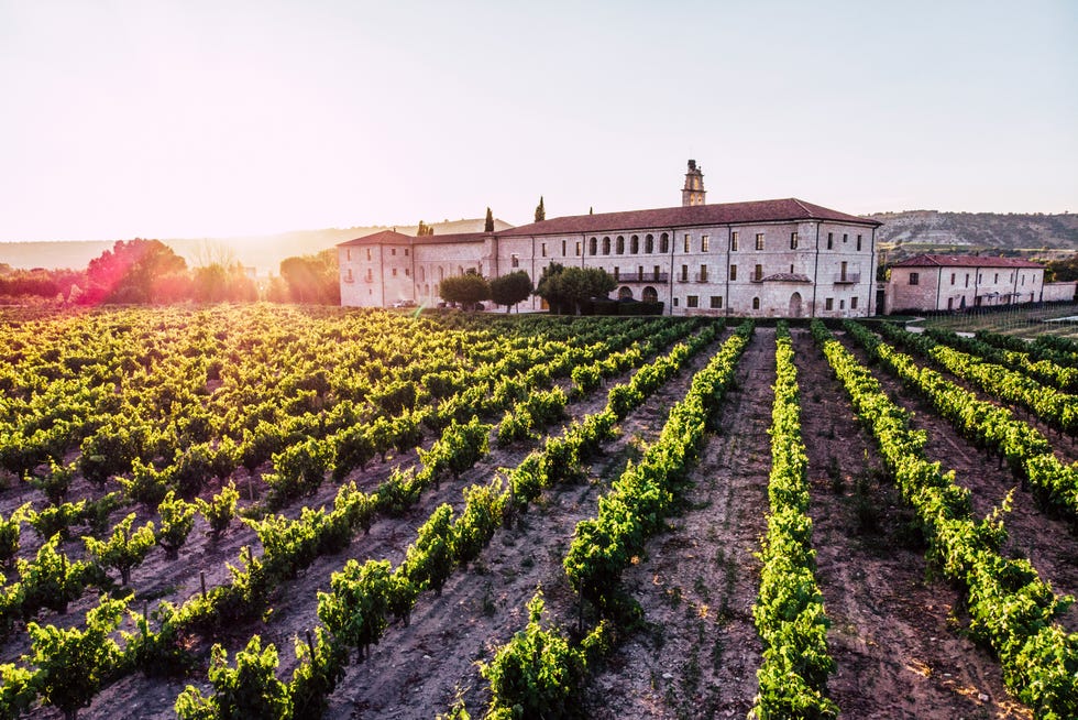 Victoria Federica en Abadia Retuerta victoria federica en abadia retuerta