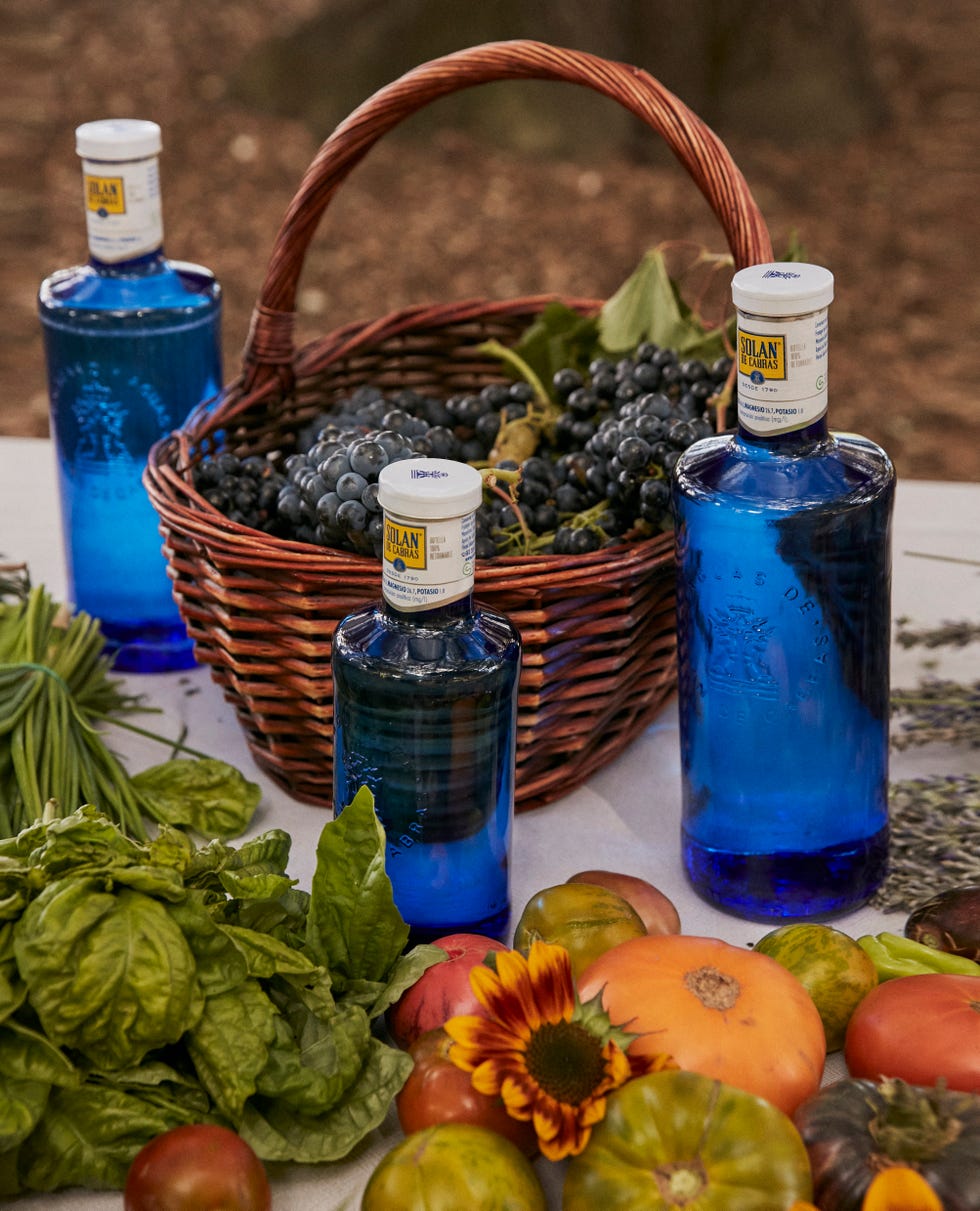 Victoria Federica en Abadia Retuerta victoria federica en abadia retuerta