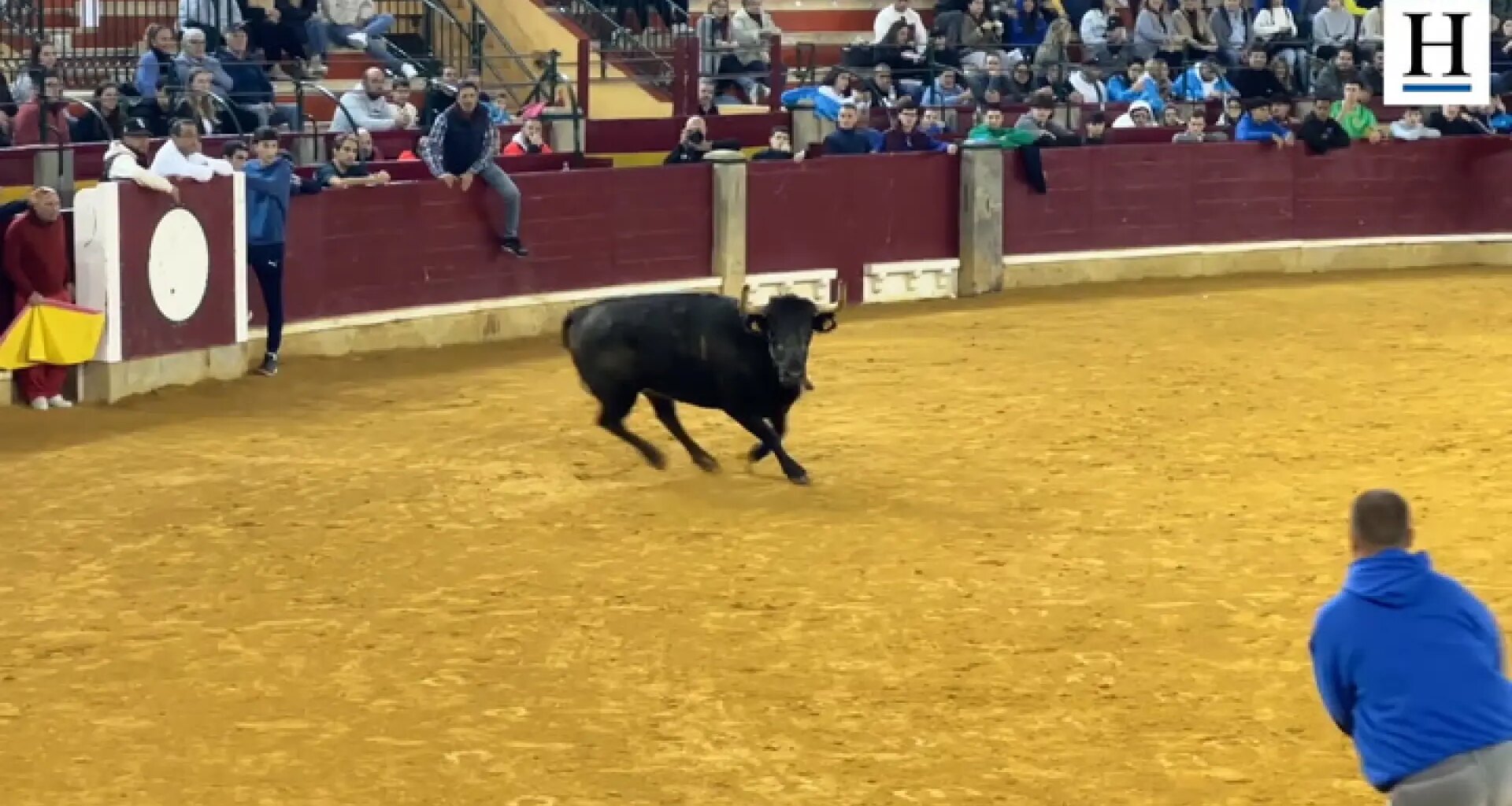 El joven valiente de Zaragoza que se atreve a torear en las vaquillas y consigue la ovación de la plaza