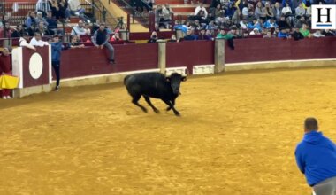 El joven valiente de Zaragoza que se atreve a torear en las vaquillas y consigue la ovación de la plaza