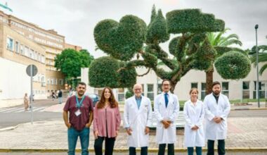 Investigadores españoles relacionan el hígado graso con el deterioro cognitivo