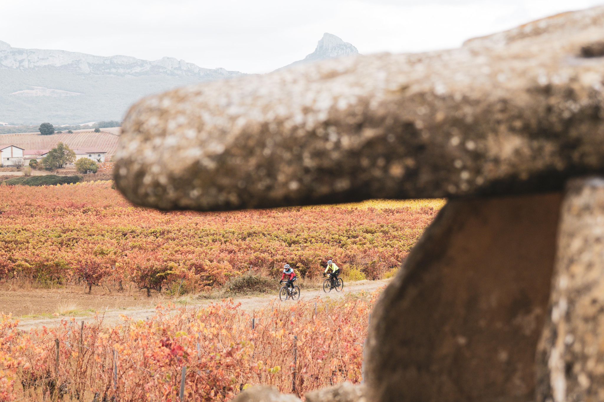 WhatsApp Image 2025 10 25 at 16.01.10