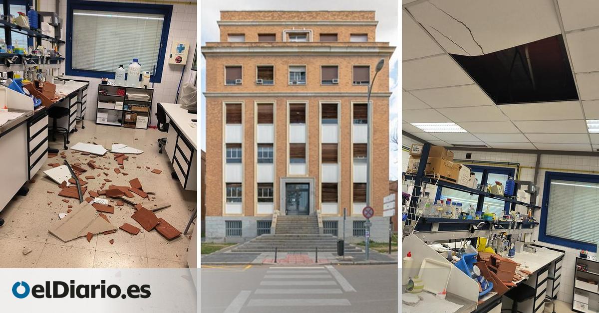 "Si esta asfixia sigue no habrá marcha atrás en el deterioro"