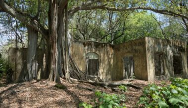 “Todo quedó borrado”: las voces de los sobrevivientes de la tragedia de Armero y la advertencia que persiste 40 años después