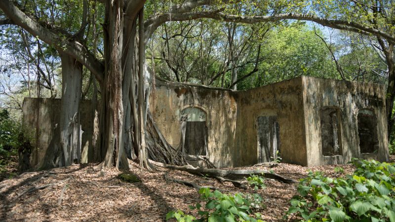 “Todo quedó borrado”: las voces de los sobrevivientes de la tragedia de Armero y la advertencia que persiste 40 años después
