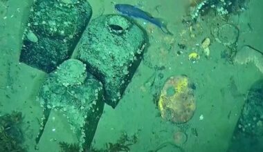 El Gobierno colombiano retira cinco piezas del pecio del galeón San José, reclamado por España