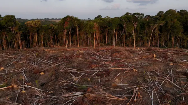 Una zona deforestada de la Amazonía.

