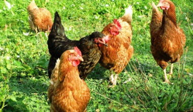 Ir a inicio. La Moncloa