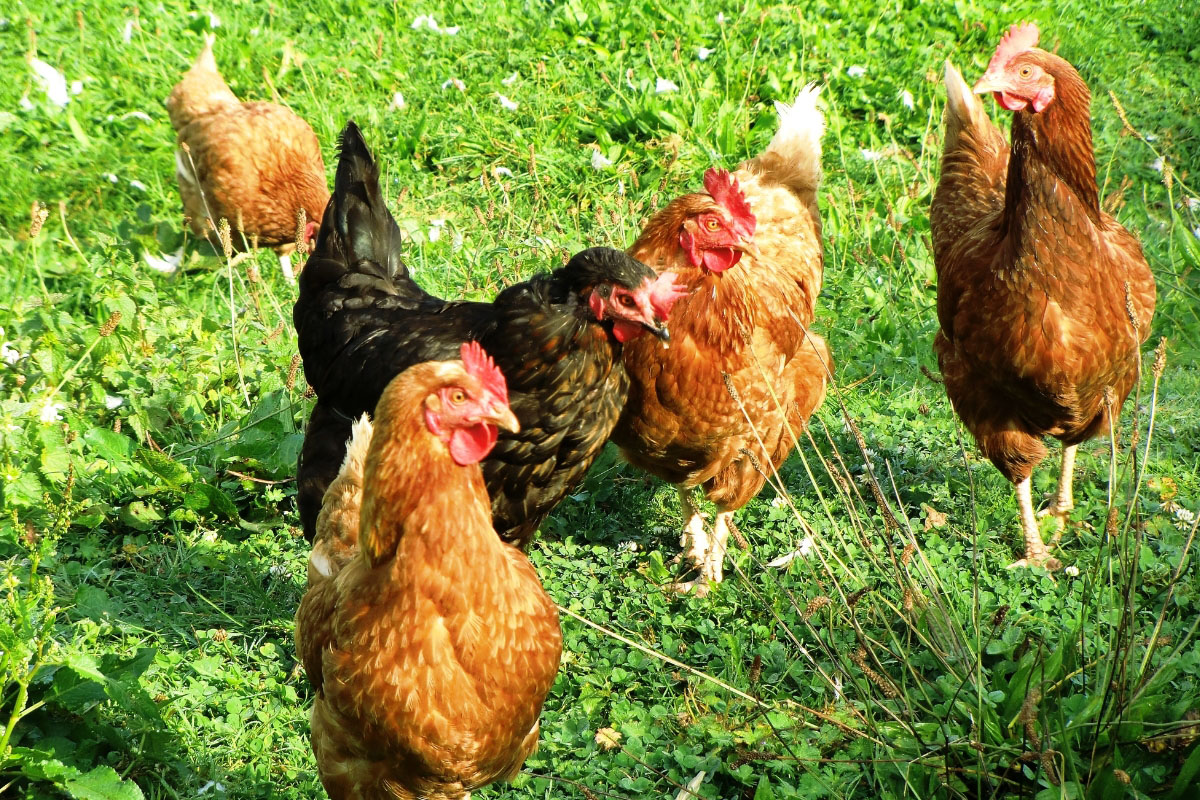 Ir a inicio. La Moncloa