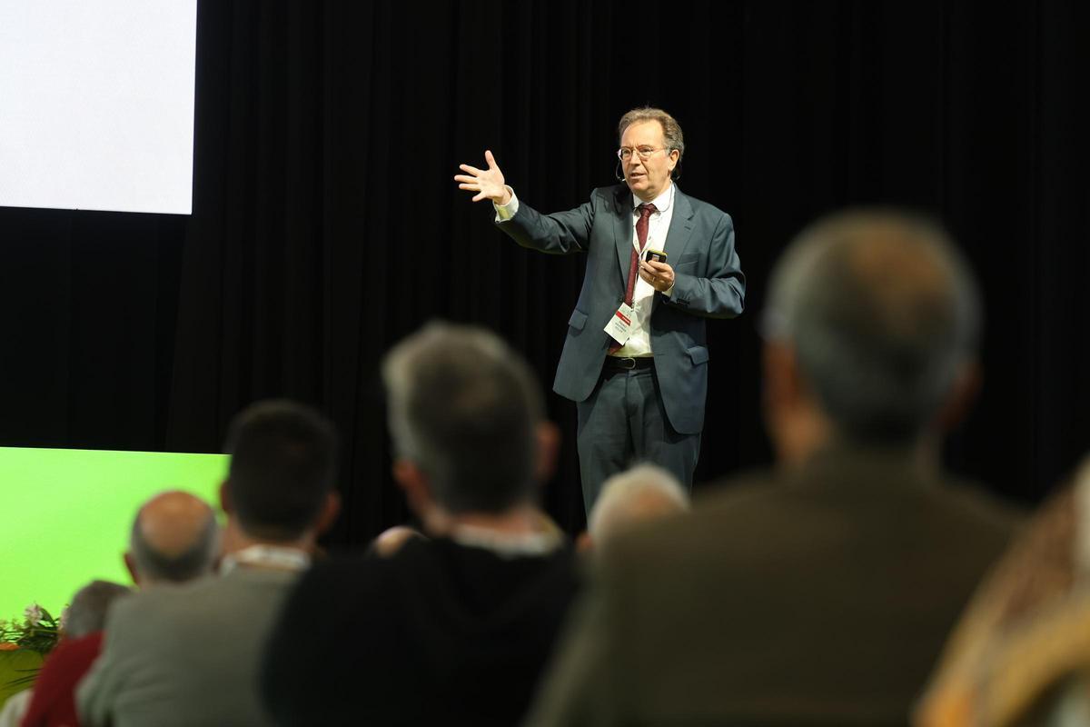 El ponente Pedro Abizanda Soler.