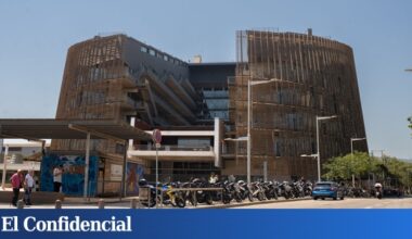 Identificada la célula de origen del Sarcoma de Ewing, un tumor pediátrico muy agresivo