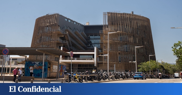 Identificada la célula de origen del Sarcoma de Ewing, un tumor pediátrico muy agresivo