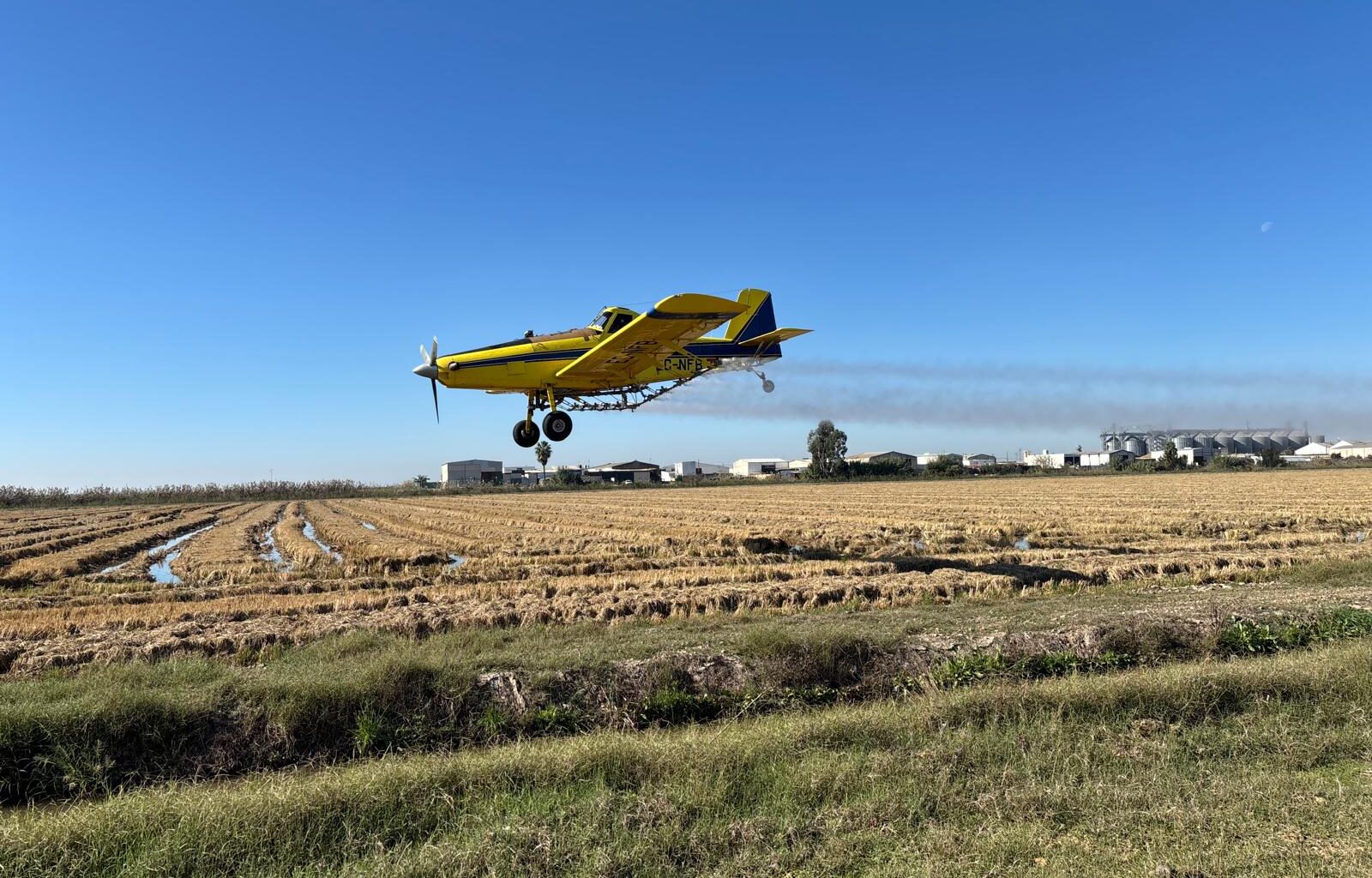 La Diputación inicia la tercera fase de tratamientos biocidas aéreos en el arrozal para el control de los mosquitos transmisores del Virus del Nilo Occidental