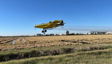 La Diputación inicia la tercera fase de tratamientos biocidas aéreos en el arrozal para el control de los mosquitos transmisores del Virus del Nilo Occidental
