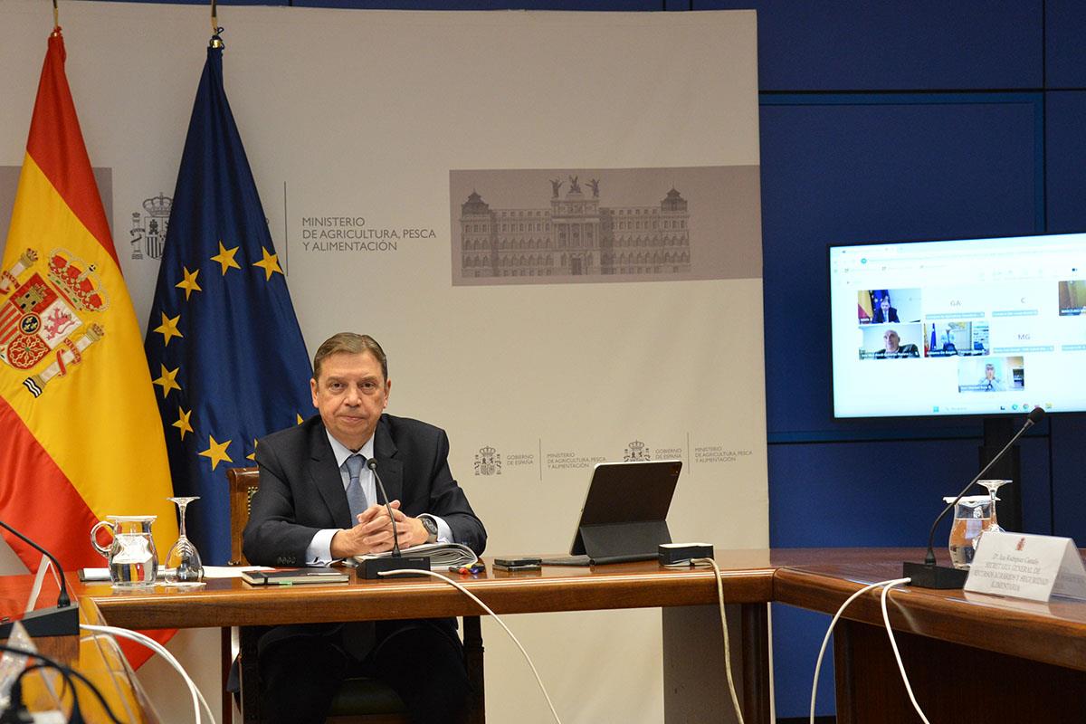 El ministro de Agricultura, Pesca y Alimentación, Luis Planas, durante la reunión de los Consejos Consultivos 