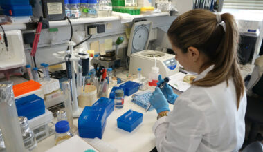 El Centro de Investigación del Cáncer inicia un nuevo estudio para prevenir la leucemia linfoblástica aguda infantil | El Día de Zamora