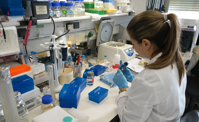 El Centro de Investigación del Cáncer inicia un nuevo estudio para prevenir la leucemia linfoblástica aguda infantil | El Día de Zamora